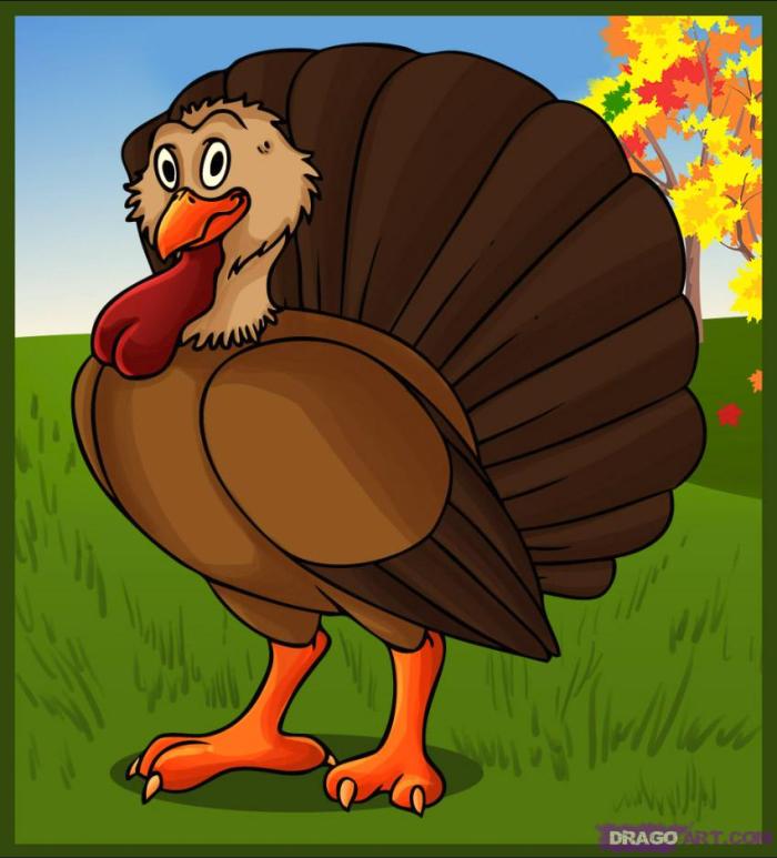 proud turkey